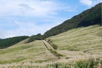 箱根の宴会でコンパニオン接客サービスをする女性